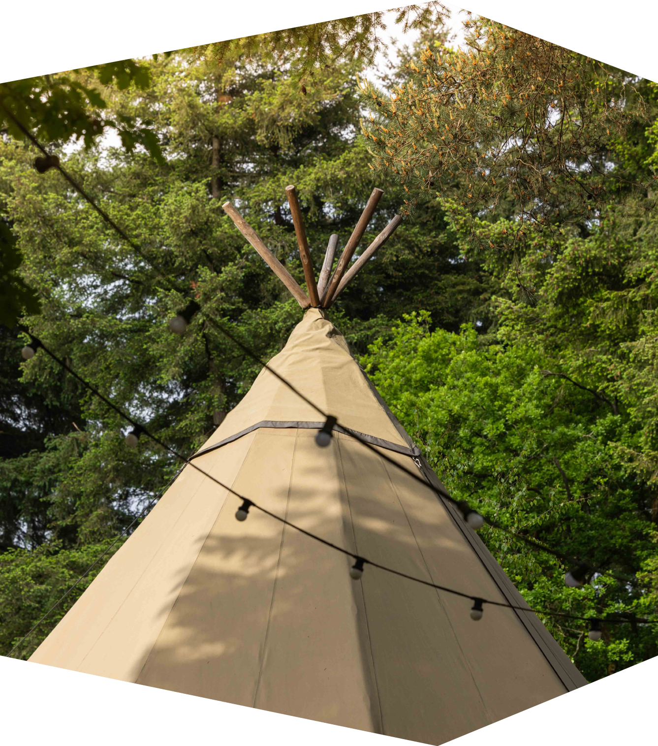 Service en onderhoud - Tentmeesters Service en onderhoud - Tentmeesters